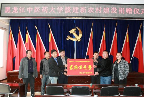 完美(中国)一站式服务平台赴齐齐哈尔市富裕县龙安桥镇开展帮扶帮建工作