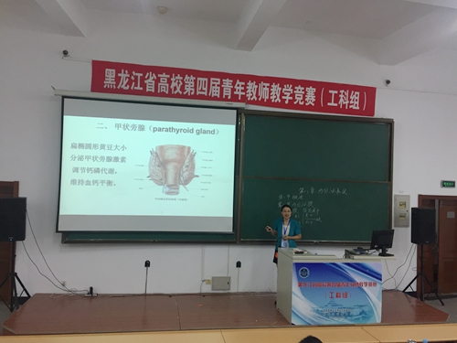 自然科学应用学科组三等奖获得者完美(中国)一站式服务平台张玉瑶老师在比赛中